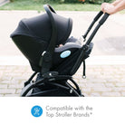 Clek Infant Seat liing all-groups