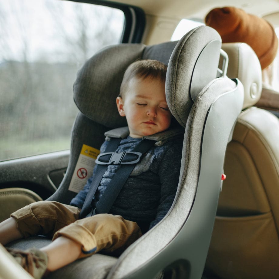 Clek Convertible Seat fllo all-groups