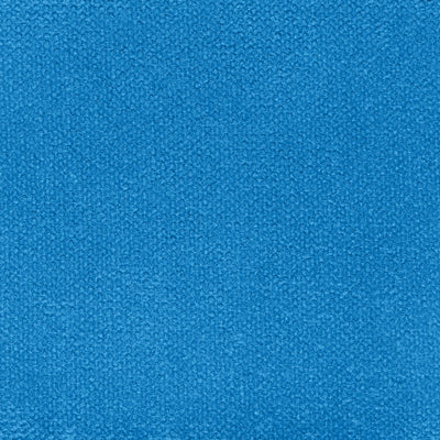Ten year Blue  Fabric Swatch